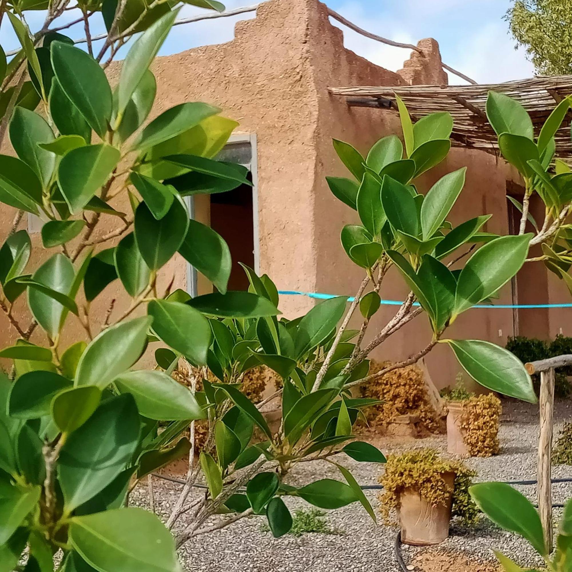 Hotel Ngayan Camp Taïzelt Zewnętrze zdjęcie